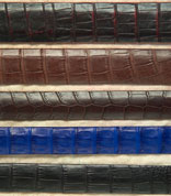 Matte Finish American Alligator (Black Cherry Brush Off, Brown, Chocolate, Cobalt Blue, Black)